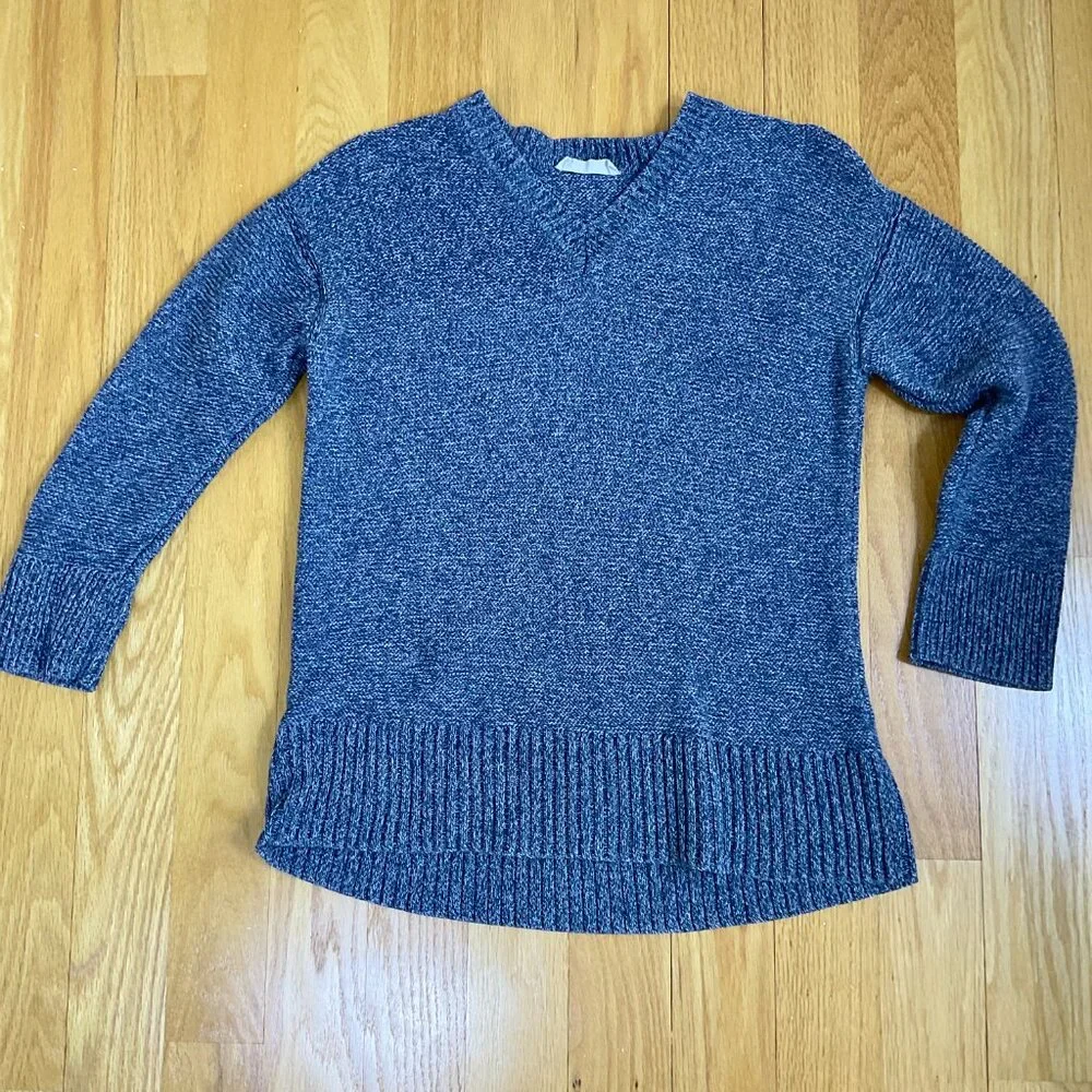 Everlane Sweater Cotton V-Neck Blue Marled (S)